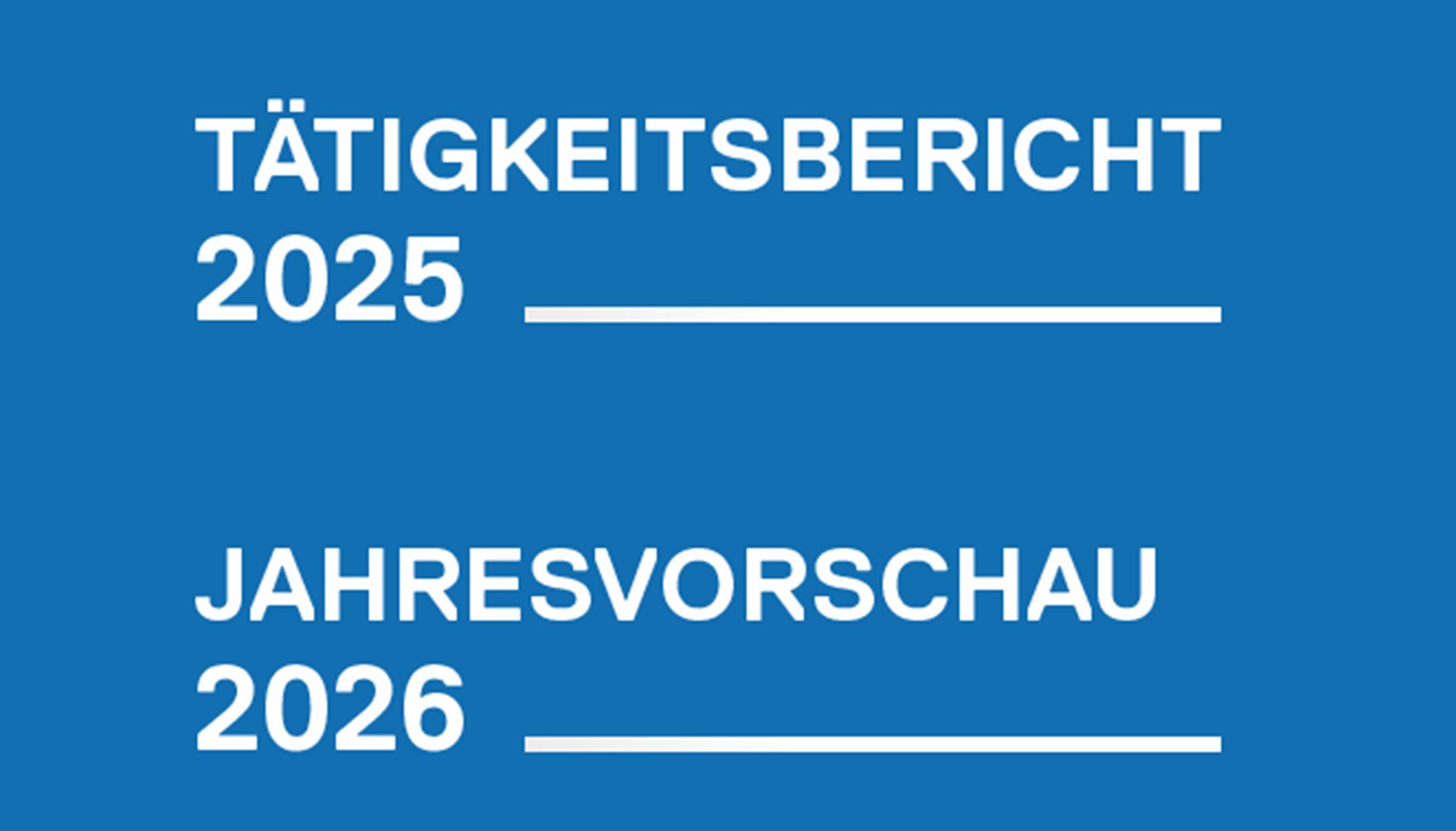 Tätigkeitsbericht 2025 - Jahresvorschau 2026